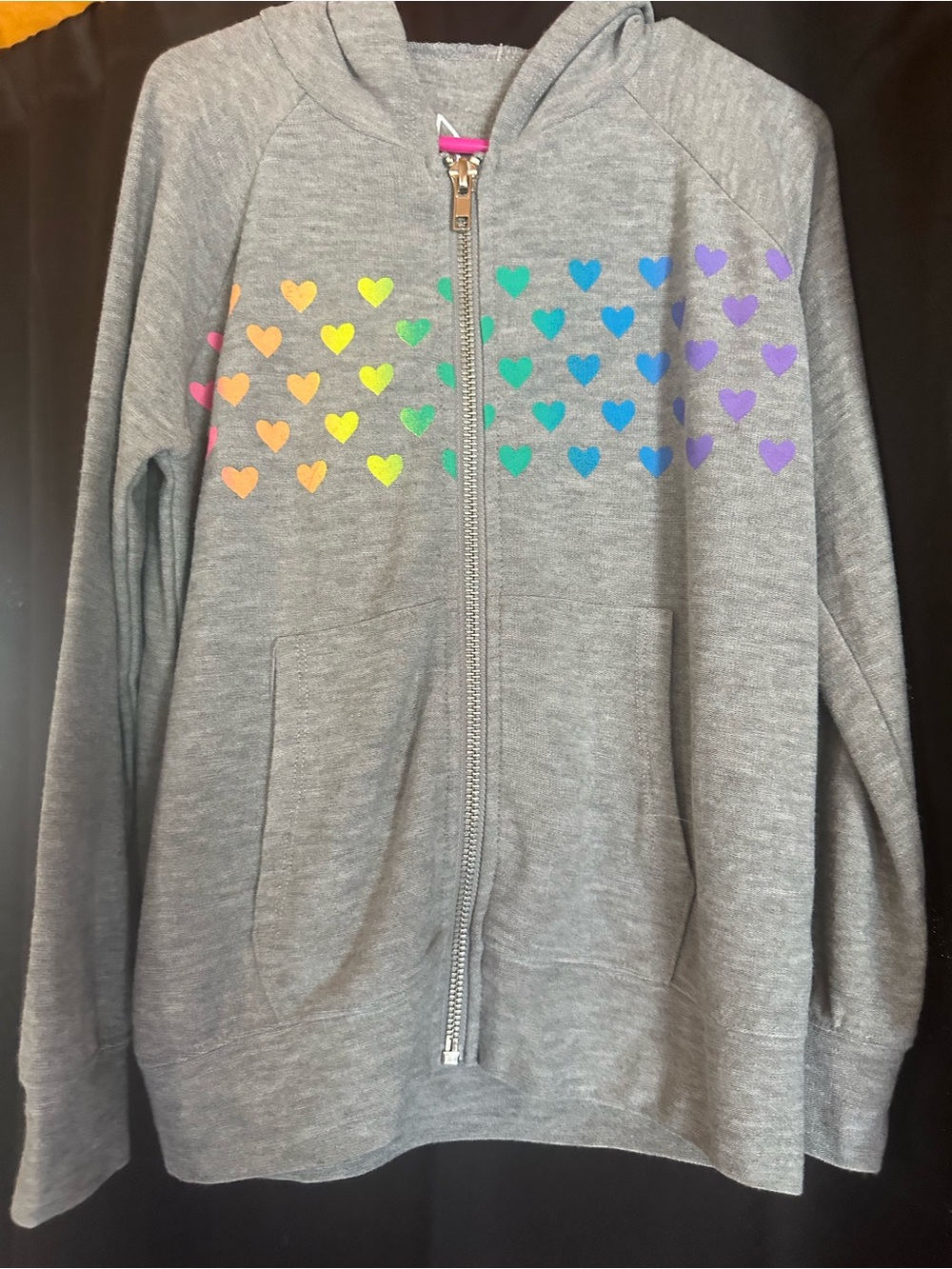 Chaser Gray Zip Hoodie with Rainbow Heart Rows
